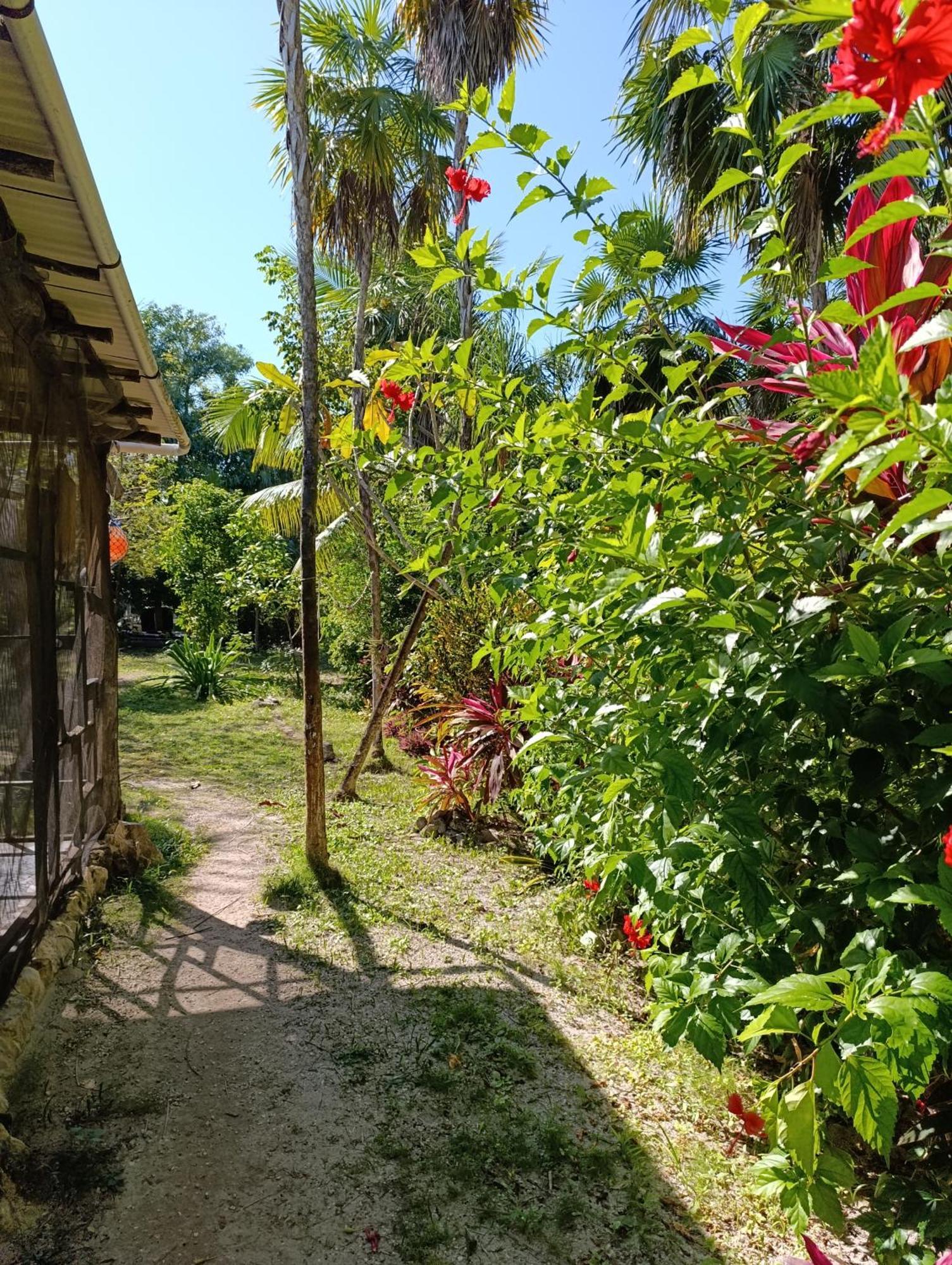 Chez Gigi - Eco Lodge Махауаль Экстерьер фото